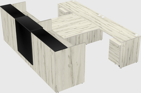 Shared u-shaped reception desks