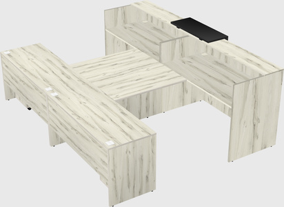 Shared u-shaped reception desks
