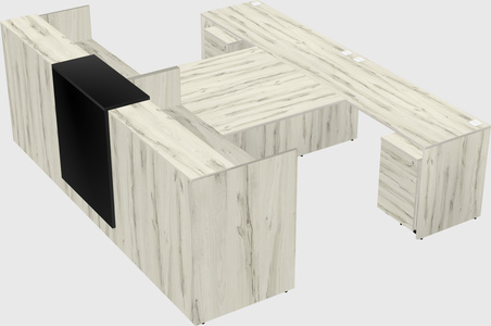 Shared u-shaped reception desks