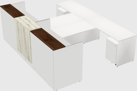 Shared u-shaped reception desks