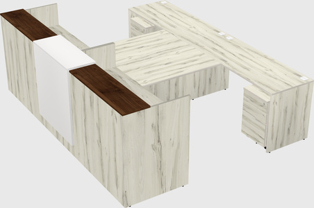 Shared u-shaped reception desks