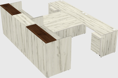 Shared u-shaped reception desks