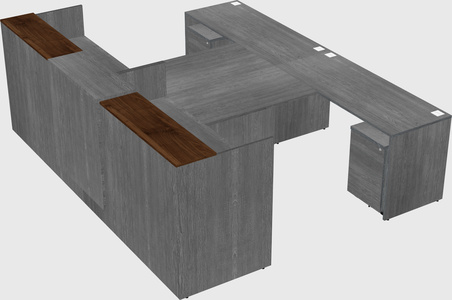 Shared u-shaped reception desks