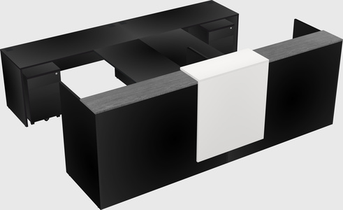 Shared u-shaped reception desks