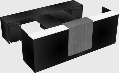 Shared u-shaped reception desks
