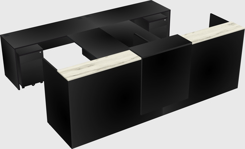 Shared u-shaped reception desks