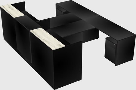 Shared u-shaped reception desks