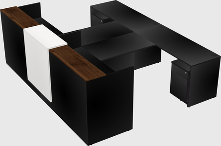 Shared u-shaped reception desks