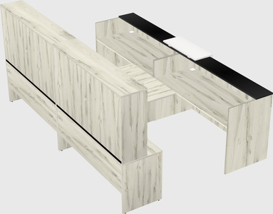 Shared u-shaped reception desks