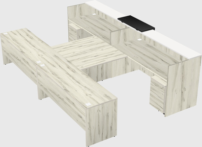 Shared u-shaped reception desks