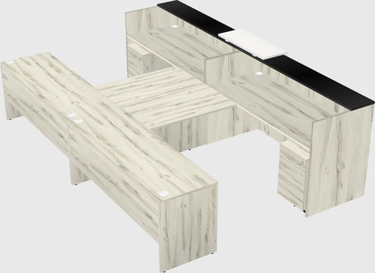 Shared u-shaped reception desks