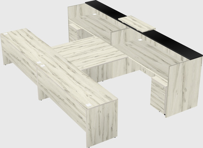 Shared u-shaped reception desks