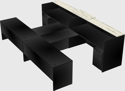 Shared u-shaped reception desks
