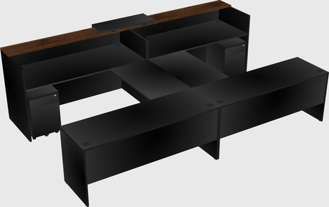 Shared u-shaped reception desks