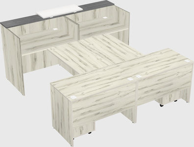 Shared u-shaped reception desks
