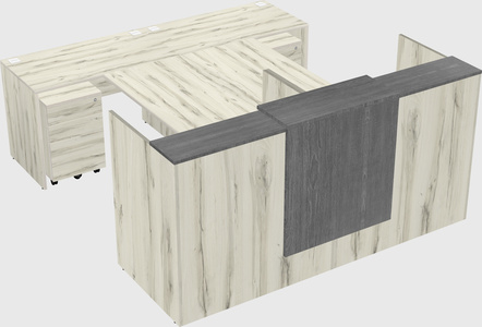 Shared u-shaped reception desks