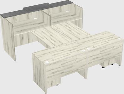 Shared u-shaped reception desks