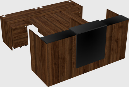 Shared u-shaped reception desks