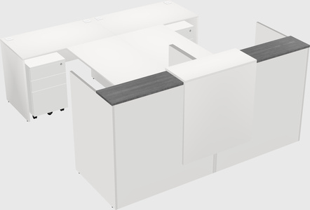Shared u-shaped reception desks