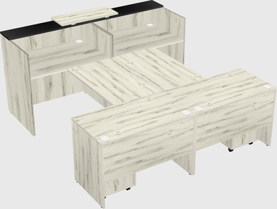 Shared u-shaped reception desks