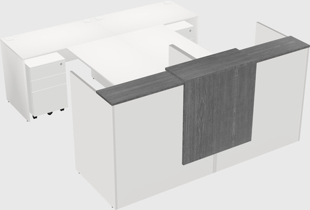 Shared u-shaped reception desks