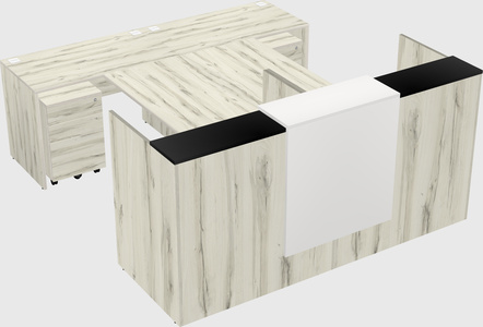 Shared u-shaped reception desks