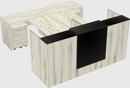 Shared u-shaped reception desks