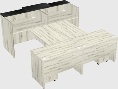 Shared u-shaped reception desks