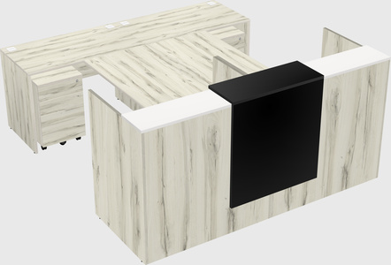 Shared u-shaped reception desks