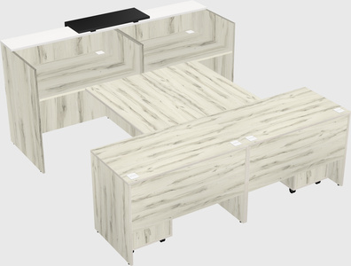 Shared u-shaped reception desks
