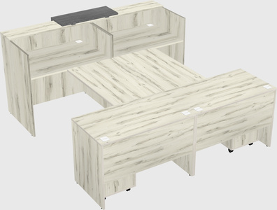 Shared u-shaped reception desks