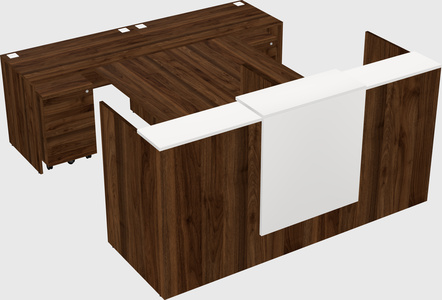 Shared u-shaped reception desks