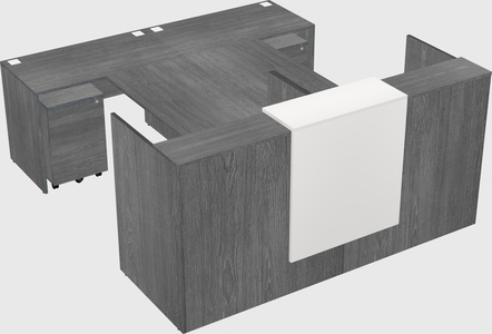 Shared u-shaped reception desks