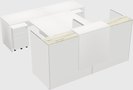 Shared u-shaped reception desks