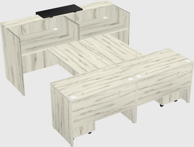 Shared u-shaped reception desks