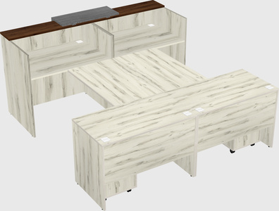 Shared u-shaped reception desks