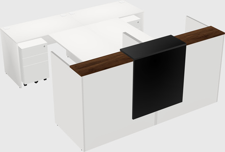 Shared u-shaped reception desks