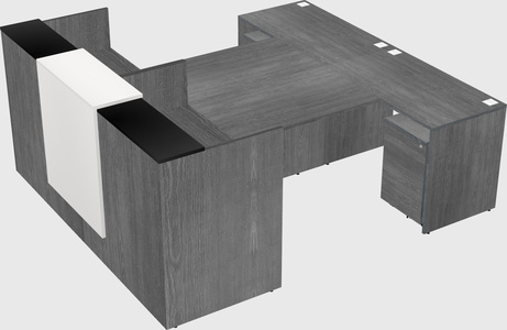 Shared u-shaped reception desks