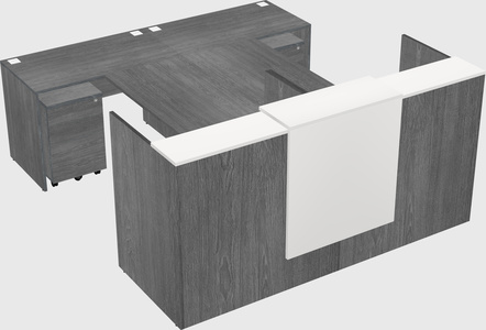 Shared u-shaped reception desks