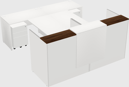 Shared u-shaped reception desks