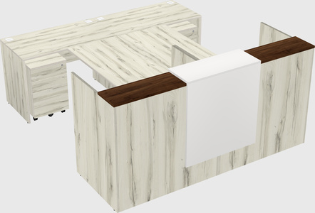 Shared u-shaped reception desks