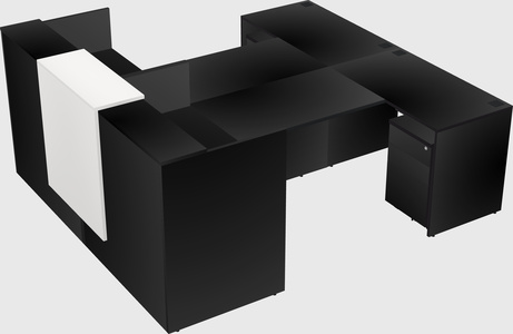 Shared u-shaped reception desks