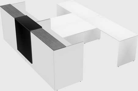 Shared u-shaped reception desks