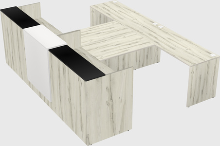Shared u-shaped reception desks