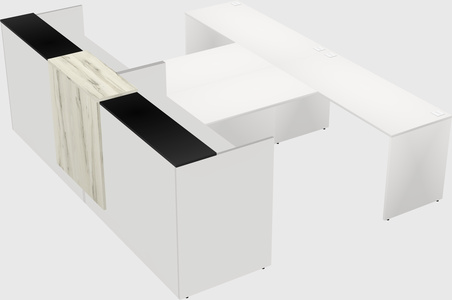 Shared u-shaped reception desks