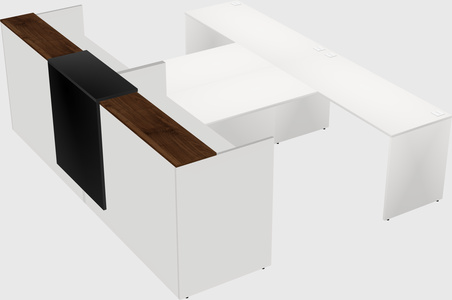 Shared u-shaped reception desks