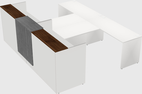 Shared u-shaped reception desks
