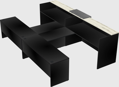 Shared u-shaped reception desks