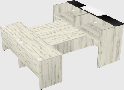 Shared u-shaped reception desks