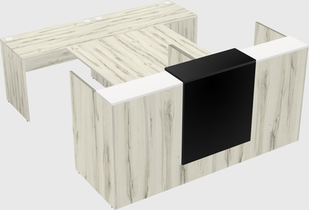 Shared u-shaped reception desks